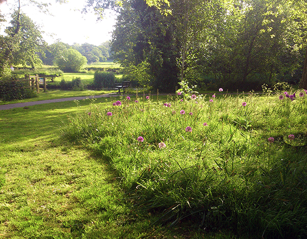 Toppesfield Park in Hadleigh, Suffolk